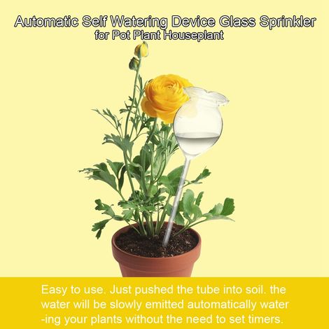 Arroseur automatique en verre pour plantes en pot, dispositif d'arrosage goutte à goutte pour plantes d'intérieur, système d'hydratation autonome pour végétaux d'appartement, kit de 1 pièce. (1/5)