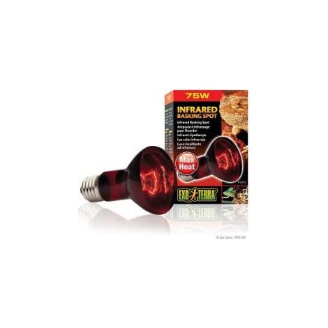 Exo Terra Infrared Basking Spot 75W rouge ampoule