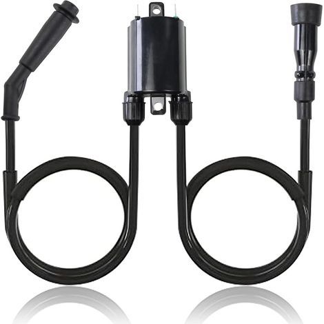 Zündspule 30510-MM8-003 für Honda VT600C und VLX600 (1988, 1989, 1990, 1991, 1992, 1993, 1994, 1995, 1996, 1997, 1998, 1999, 2000, 2001, 2002, 2003, 2004, 2005, 2006, 2007) (1/4)