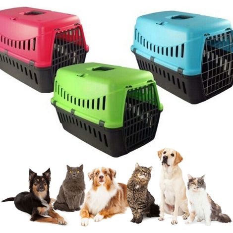 TRADE SHOP - Cuccia Trasportino Colorato Per Cani Gatti Roditori Di Piccola Taglia 46x31x32cm - (1/5)