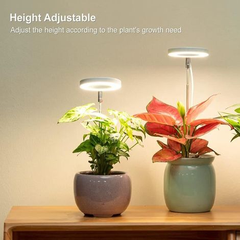 Lampe pour Plantes, Lampe de Croissance, Lampe Led Horticole pour Semis, Succulentes, Orchidee (1/4)