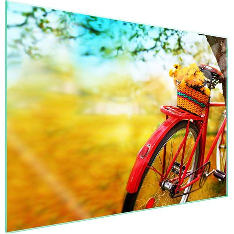 Plaque de protection en verre pour poêle 70x52 Vélo (1/5)