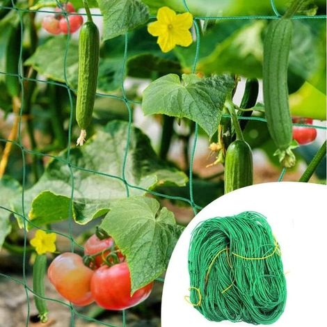 Netting for Climbing Plants Garden Trellis Netting 2m x 5m Climbing Plant Support Fixing Net Garden Netting for Vegetable Plant Tomato Cucumber (1/5)