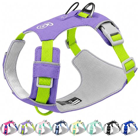 Harnais Anti Traction pour Chien Réfléchissant Réglable, Gilet Facile à Mettre avec Anneaux Métal, Solide Respirant Dog Harness Durable en Nylon pour Petites et Moyennes Races (Violet, XS) (1/5)