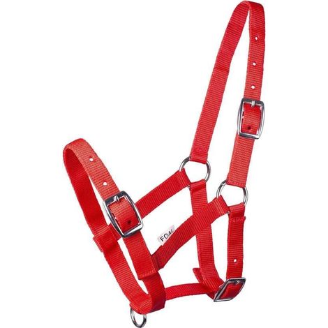 1 Licol Poulain Réglable Nylon Rouge Imprimé Élevage (1/5)