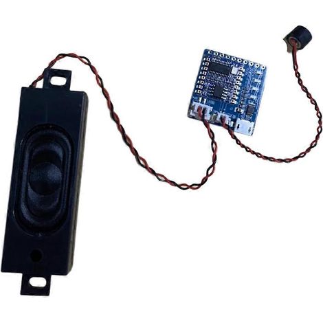 Spracherkennungs-Steuermodul, Aktivierungswort, drahtloser intelligenter Controller
