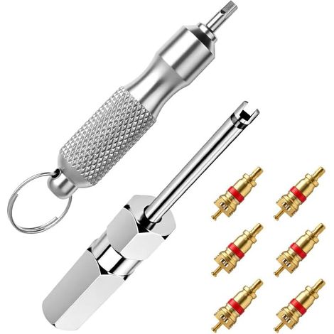 Outil de Retrait Noyau Valve Pneu, Extracteur Tige en Acier Inoxydable avec 6 Noyaux, pour Réparation Pneus Voiture, Camion et Vélo - (1/5)