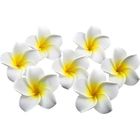 Fleurs Artificielles en Écume Blanches 6 Cm Paquet de 100 pour Décoration Mariage Cérémonie ou Fête Accessoire pour Création de Bijoux et Coiffure (1/5)