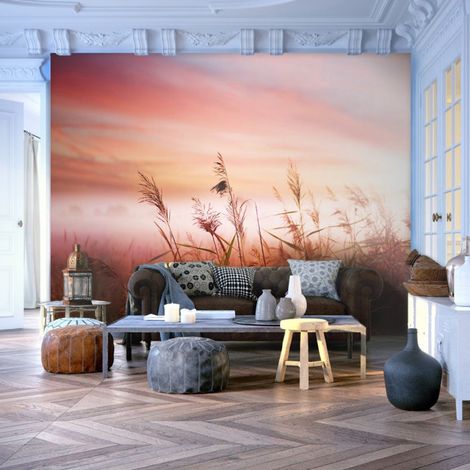 Papier Peint "Prairie à l'aube" 193 x 250 cm (1/2)