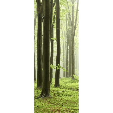 Panneau mural douche en alu-composite VIPANEL - Inspiration Nature Décor Brouillard Forestier - Finition Brillant - 100x255cm (1/5)