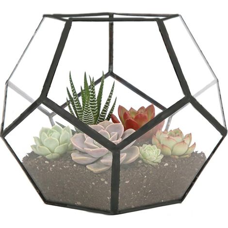 Terrarium en Verre Géométrique Dodécaèdre, Cadre Noir Verre Transparent, Pot de Fleurs pour Succulentes et Cactus, Décoration de Table pour Intérieur, Maison Bureau (1/5)