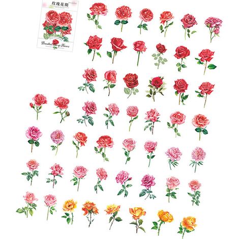 100 Stück florale Aufkleber, Serie „Grenzenloses Blumenmeer“, Pflanzenblumen-PET-Aufkleber, DIY-Material, Dekoration, Rosenzeit (1/5)