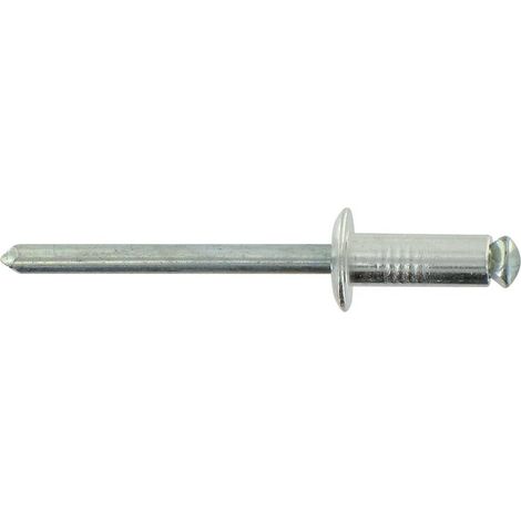 Riveting Edelstahl/inox Tp Bl20 4,8x16