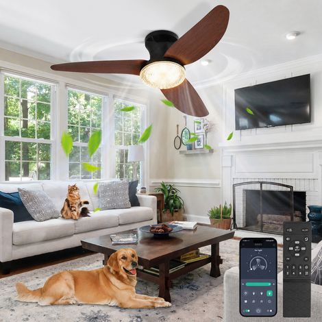 ROSNEK Ventilateur de plafond avec lumière LED 100 cm 60W, plafonnier ventilateur silencieux 6 vitesses avec télécommande et application, moteur DC réversible, noir et bois (1/5)