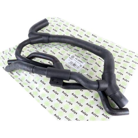 Mangueras, tuberías, tubería principal de agua, Renault Clio II Kangoo I 1.9 DTI (1/5)