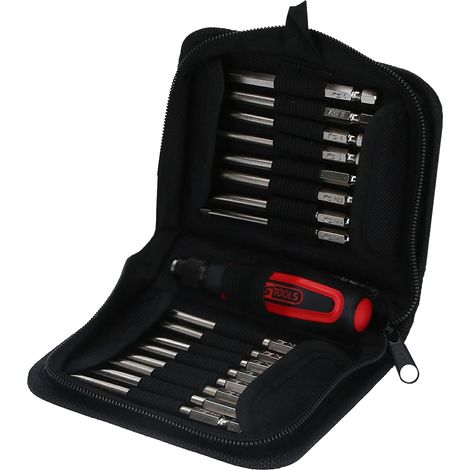 ERGOTORQUEplus® Serie di inserti, 17 pz (1/4)
