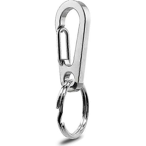Lot de 2 clips pour médailles d'identification pour chien/chat, en acier inoxydable robuste, à fixation rapide. Porte-médailles pour collier et harnais. (1/4)