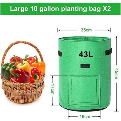 Sacs de culture de pommes de terre, 2 X 43l, sacs de culture/sac de plantation de pommes de terre de jardin, tissu Non tissé respirant à Double couche avec sol de fenêtre (1/5)