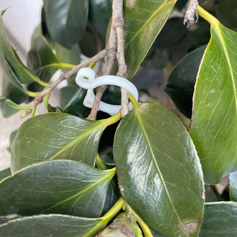 Lot de 8 pinces de jardin en forme de chat, blanc aléatoire, pour fixation de plantes, outil de jardinage. (1/5)