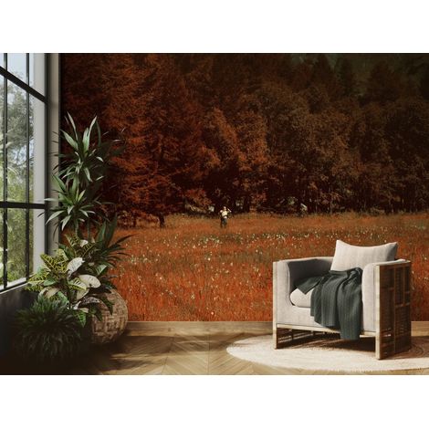 Papier peint Nature – homme dans prairie automnale - 150 x 250 cm (1/2)