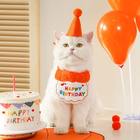 1 bavoir déguisement d'anniversaire pour chien ou chat - Bavoirs assortis mignons pour tous les jours - Chapeau en feutrine (1/4)