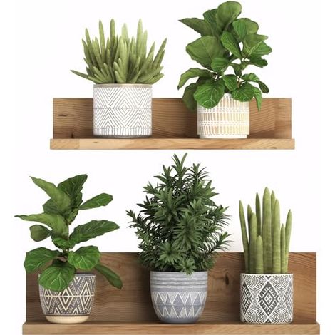 Autocollant mural 3D amovible en PVC Bonsaï Décoration murale créative Plantes Vertes Florales Arbre BonsaïStickers Muraux Plante Tropical Autocollants Décoration Murale pour Salon Chambre Cuisine (1/5)
