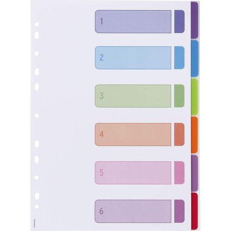 Viquel – Set di 6 divisori in polipropilene A4 Intercolor