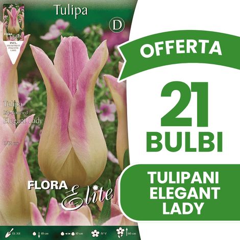 OFFERTA 21 BULBI AUTUNNALI TULIPANO FIOR DI GIGLIO ELEGANT LADY BULBS