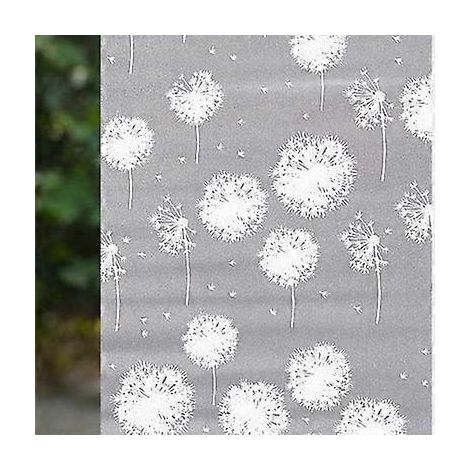 Film occultant pour vitres, motif pissenlit, électrostatique, 60 x 100 cm (1/5)
