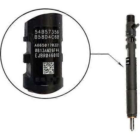 Injecteur diesel A6650170321 EJBR04601D compatible avec SSANGYONG REXTON 27 XDI (1/5)