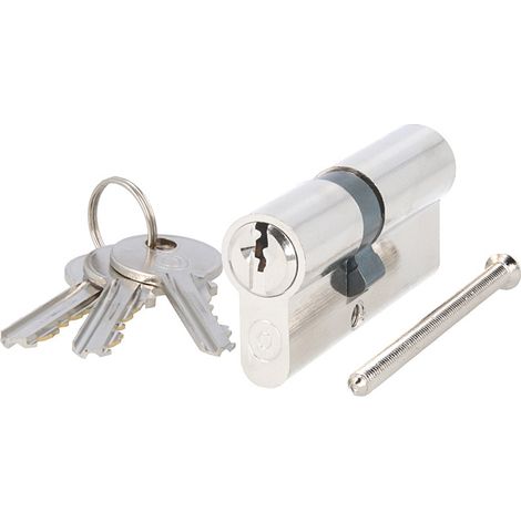 Profilzylinder Messing vernickelt – Tür-Schließzylinder 30/40mm gleichschließend (1/5)
