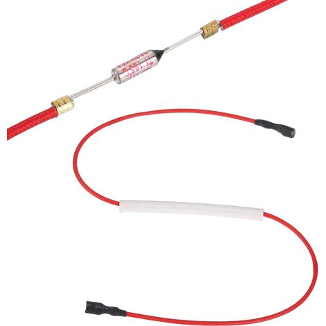 Fusible Thermique Universel Pour Cuiseur À Riz, 165°C 10A 250V Fusible Thermique Métallique Avec Bornes Aux Deux Extrémités Et Gainage En Fibre De Verre De Cuiseur À Riz (1/5)