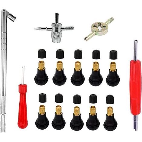 Demonte Valve de Pneu Outil,Ensemble d\'Outils de Valve Pneu Durable Outils,Universel Outil de Valve avec TR 412 Valve Enfichable (1/4)