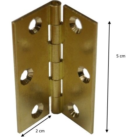 Cerniera dorata a biscotto 50 x 40 mm