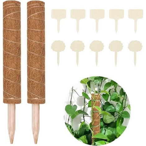 Kletterpflanzenstütze - Kokosmoos-Stab - 40cm - Weiß