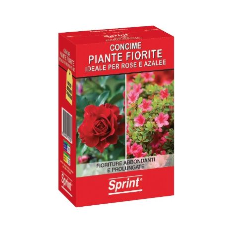 SPRINT PIANTE FIORITE GRANULARE 1KG