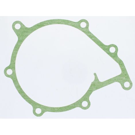 Guarnizione per pompa dell'acqua FENDT XYLON F524200610010