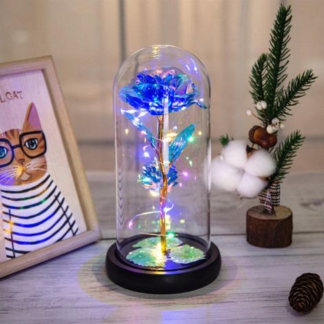 Rose de Noël Cadeau Femme, Coffret Musical Rose Galaxie La Belle et la Bête, Fleur Éternelle Sous Dôme en Verre avec LED, Idée Cadeau Personnalisée pour Maman Épouse Petite Amie Grand-Mère, Anniversai (1/4)