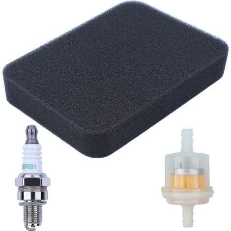 Moteur Honda GX240 GX270 GX340 GX390 avec filtre à carburant et bougie Remplace 17211-899-000 (1/5)