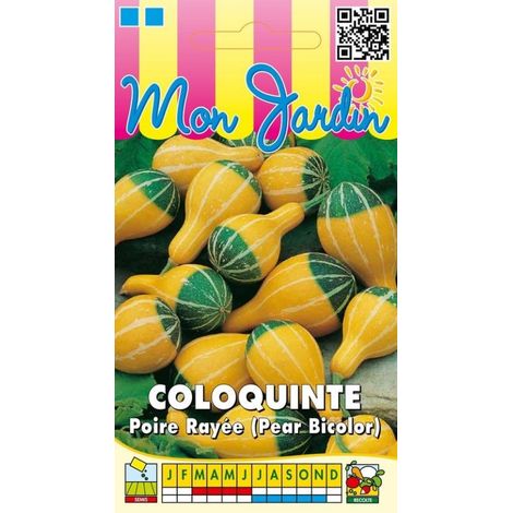 Coloquinte poire rayée - 3g