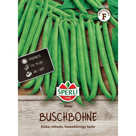 Sperli – Haricot nain « Saxa » – Graines de légumes, pour env. 3-4 mètres linéaires (1/2)