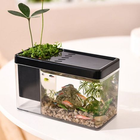 Bocal À Poissons - Support Pour Stylos - Rangement De Bureau Transparent - 17,1 X 10,5 X 8 Cm - 283 G (1/2)