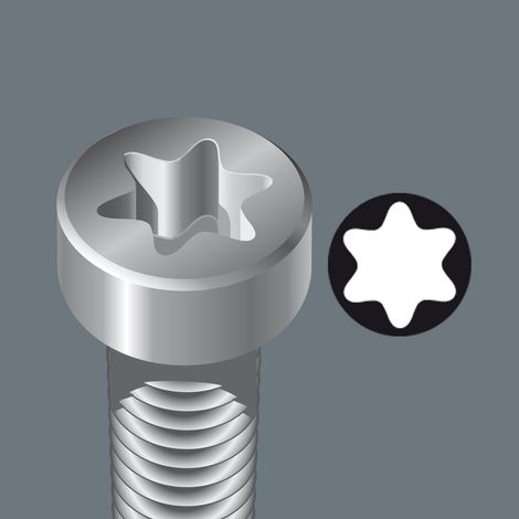 Wera 05073966001 Inserto per Viti TORX Incassato, TX 30, Multi-colour (1/5)