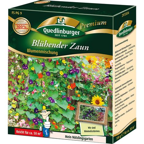 Quedlinburger Saatgut – Mélange de fleurs « FS Blühender Zaun » – Graines de fleurs grimpantes, annuelles, jusqu'à 2 mètres, env. 50 m² (1/2)