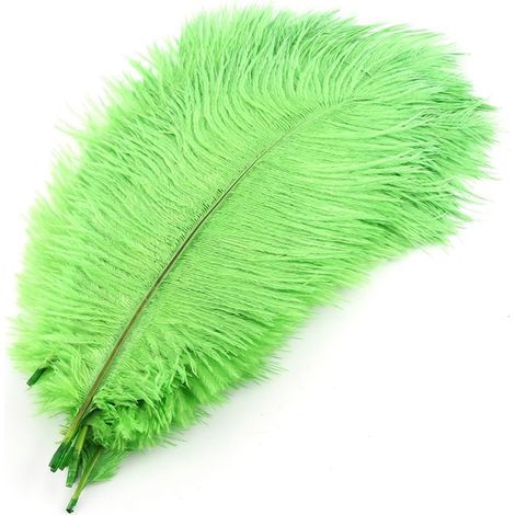 Plume D Autruche Naturelle - 25 À 30 Cm - Verte - Décoration Événementielle Et Intérieure - Lot De 10 (1/5)