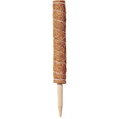 Soporte ecológico para plantas fabricado con fibra de coco – Soporte para plantas de interior como la Monstera – Poste extensible de color caqui (30/40/50/60 cm) – 1 unidad (1/5)