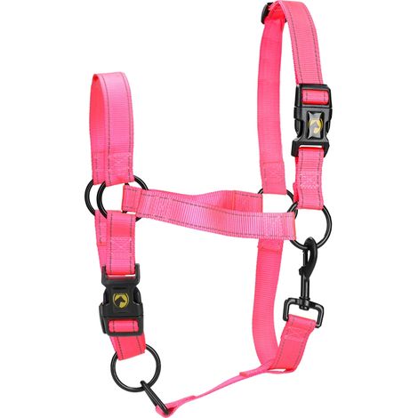 licol excellent premium halter nylon ajustable fermeture rapide