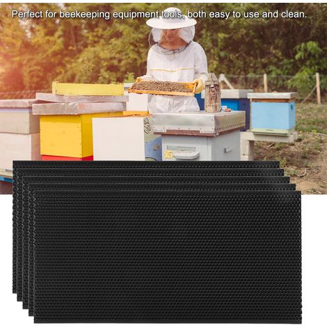 Cadres de ruche automatiques pour abeilles, kit d'apiculture, boîte de pollinisation, ruche King 42,5 x 21 cm (1/5)