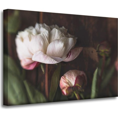 Lienzo impreso Botánica Flor Peonías 70x50 cm Ramo de flores Flora