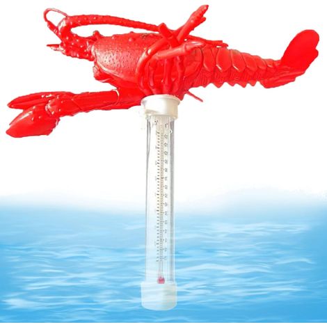 Thermomètre d'eau - Thermomètre de piscine flottante  Thermomètre de bain de glace  Thermomètre de piscine  Reader de température  Mètre de bain à remous pour animaux en carton